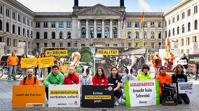 foodwatch Aktivist:innen stehen vor dem Bundesrat und halten Schilder mir Forderungen hoch