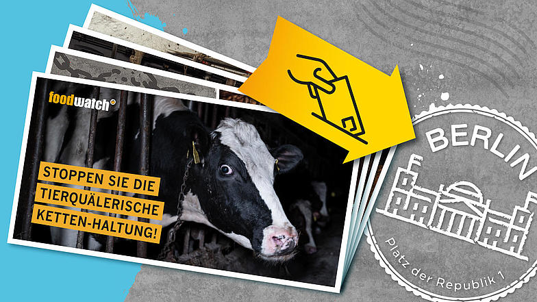 Ein Stapel von Postkarten zeigt das Bild einer Kuh, die angekettet in einem Stall steht. Auf der Postkarte steht: 'Stoppen Sie die tierquälerische Ketten-Haltung!' Links oben ist das Logo von Foodwatch zu sehen. Daneben ist ein gelber Pfeil mit einem Symbol, das eine Hand zeigt, die einen Brief in einen Schlitz steckt. Rechts daneben befindet sich ein Stempel mit der Aufschrift 'Berlin, Platz der Republik 1' und einer stilisierten Darstellung des Bundestags